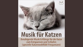 Katzen Schlafmusik mit Schnurren  spezielle Klänge und Melodien zum Beruhigen der lieben Katze [upl. by Eendys]