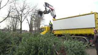 Kerstbomen inleveren [upl. by Stretch]