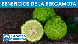 8 Propiedades y Beneficios de la BERGAMOTA 💁‍♀️✅  QueApetito [upl. by Nylehtak804]