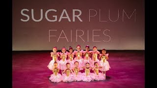 Sugar Plum Fairies PrePrimary Ballet  DancePot 3rd Concert 2018 [upl. by Odnomar]