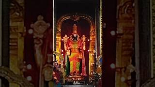 Venkateswara Swamyvaikuntapuramsangareddyannamayyasongyoutubeshorts [upl. by Adnorhs]