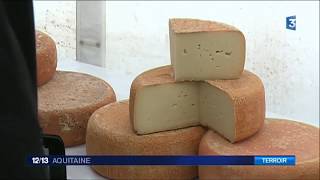 Le fromage de brebis fabriqué en estive un goût et un savoirfaire ancestral [upl. by Scotney940]