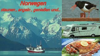 Norwegen Mit Wohnmobil amp Angel vom Polarkreis auf die Vesteralen und [upl. by Jule]