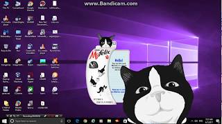 Meet Felix The desktop cat [upl. by Llerrat630]