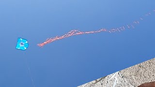 peguei 2 pipas milionários o melhor foi o azul taquei um rel incrivel [upl. by Amolap]