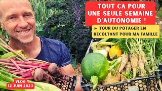 Nourrir sa famille avec le potager ► Sacré challenge   Tour de potager 12 juin 2023 [upl. by Denise]