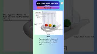 Spirometer Norcet Image Base Question mcq  ytshorts [upl. by Olra]