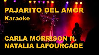 Pajarito del amor Carla Morrison ft Natalia Lafourcade Karaoke [upl. by Sisto]