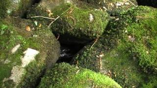 Gorges de Toul Goulic Lanrivain amp Tremargat CôtesdArmor Brittany France [upl. by Doi]