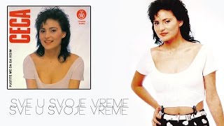 Ceca  Sve u svoje vreme  Audio 1990 HD [upl. by Eelarac458]