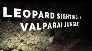 VALPARAI JUNGLE  NIGHT SAFARI  PART 3  KERALA TRIP  LEOPARD SIGHTING  WILD LIFE VALPARAI [upl. by Hermon]