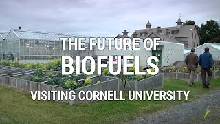 Future Green New Biofuel Crops [upl. by Anawyt]