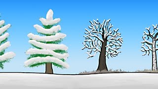 How do Trees Survive Winter [upl. by Eliason]