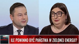 ILE POWINNO BYĆ PAŃSTWA W ZIELONEJ ENERGII [upl. by Laurentia]