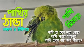 বাজরিগার পাখির ঠান্ডার চিকিৎসা পাখি হা করে নিঃশ্বাস নেয় কেনো  badgerigar Pakhir Thandar Treatment [upl. by Catlaina]