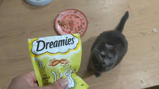 Dreamies Cat Treats [upl. by Josephson921]