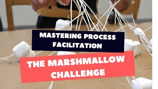 Process Facilitation Basics The Marshmallow Challenge [upl. by Devitt924]