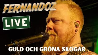 Fernandoz  Guld och gröna skogar  Dansband Live 2024 [upl. by Lorain892]