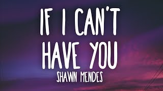 Shawn Mendes  If I Cant Have You Lyrics [upl. by Aletse]