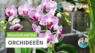 Alles over Orchideeën [upl. by Lacombe]