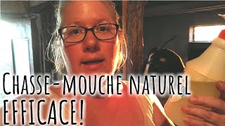 Astuce pour limiter les mouches dans la maison [upl. by Noyahs451]