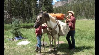 How to Load a Packhorse [upl. by Elvah]