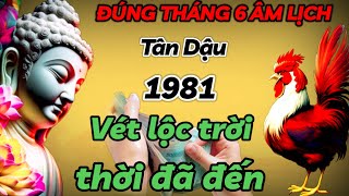 HIỂU THẤU MỆNH TRỜI TÂN DẬU 1981 CHỚP THỜI CƠ VÉT CẠN LỘC TRỜI  THÁNG 6 ÂM THỜI ĐẾN GIÀU CÓ SỐ 1 [upl. by Orlan]