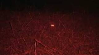 Fox Dodges Head Shot  Night Predator Hunting  CoyoteLight [upl. by Tselec]