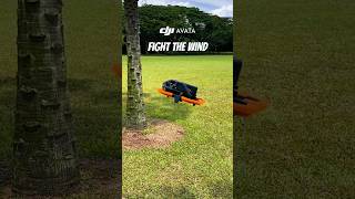 Fight the WIND  DJI Neos Father DJI Avata shorts drone djiavata dji [upl. by Anurb]