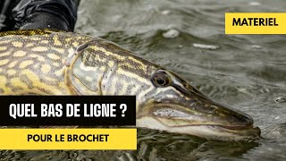 Quel bas de ligne pour pêcher le brochet [upl. by Port]