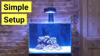 How To Set Up A Saltwater Aquarium For Beginners [upl. by Guthrie]