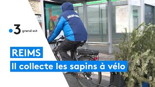 Reims  ce coursier ramasse les sapins de Noël à vélo [upl. by Blainey262]