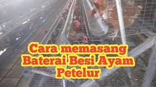 26 Cara Memasang Baterai Besi Ayam Petelur [upl. by Nosdrahcir]