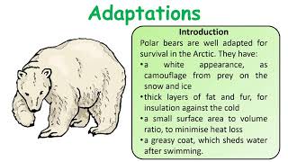 GCSE Biology Science Adaptations Revision [upl. by Derf]