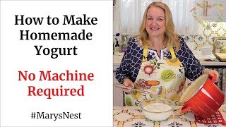 How to Make Homemade Yogurt  No Machine Required [upl. by Conti]