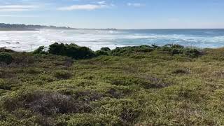 Casual Asilomar Dunes timelapse Pacific Grove CA 2017 [upl. by Fonz]