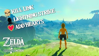 BotW but YOU can control the game [upl. by Ishmael350]