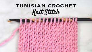 Tunisian Knit Stitch  Beginner Series [upl. by Tonry671]