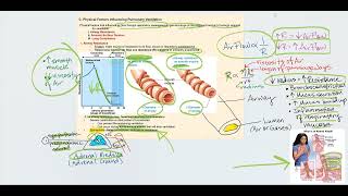 Lecture Video 4 Physiology of the Respiratory System Part 2 [upl. by Notlad]