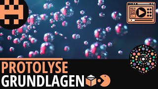 Protolyse Grundlagen│Chemie Lernvideo Learning Level Up [upl. by Anaitat]