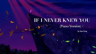 If I Never Knew You Piano Version  Pocahontas  by Sam Yung [upl. by Sivla]