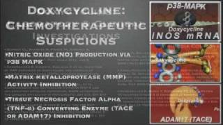 Doxycycline as an Agent for quotWound Chemotherapyquot [upl. by Ida]