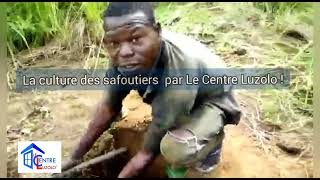 Food scarcity in BLACK Africa what a shame La pénurie alimentaire en Afrique NOIRE quelle honte [upl. by Paugh]