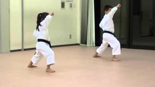 Heian Shodan [upl. by Cote]