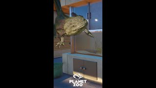 Planet Zoo Short  Axolotl Conservation Center [upl. by Shayne]