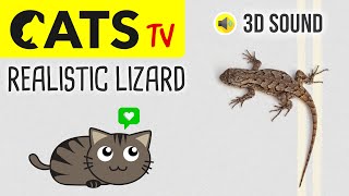 CATS TV  Realistic Lizard 🦎 3 HOURS Game for Cats on Screen [upl. by Eceryt]