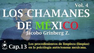 Cap 13 Los procedimientos de limpieza limpias en la PAM  LOS CHAMANES DE MÉXICO Vol 4 [upl. by Nomit379]