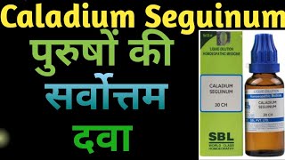 Caladium II Caladium Seguinum Homeopathic Medicine II Caladium 30 II Caladium Seguinum 30 in hindi [upl. by Duncan]