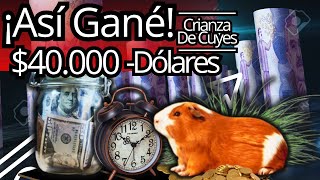 ¡Así Gané 40000 Dólares   120000000 MILLONES DE PESOS para Crianza De Cuyes En Colombia [upl. by Plantagenet95]