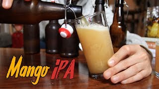 Idiots Guide to Making Incredible Beer at Home [upl. by Neik563]